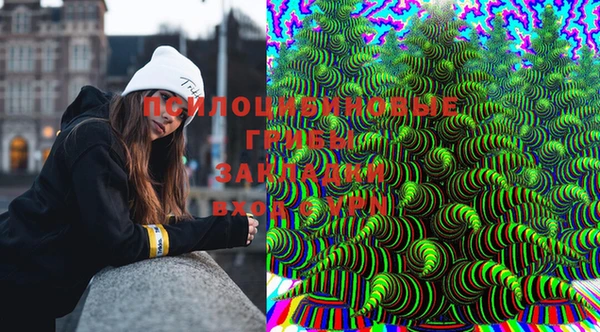 гидра Новокубанск