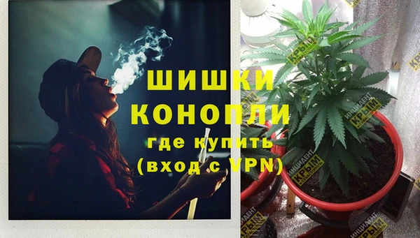 mix Новодвинск