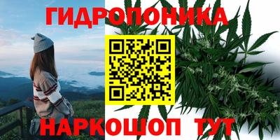 альфа пвп Берёзовский