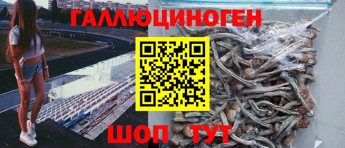 Псилоцибиновые грибы мицелий Новокузнецк