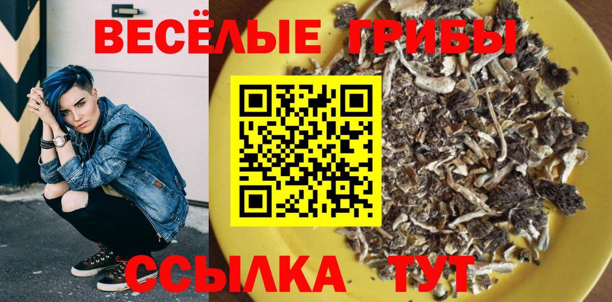 Галлюциногенные грибы Psilocybe  Псилоцибиновые грибы GOLDEN TEACHER  Новокузнецк 