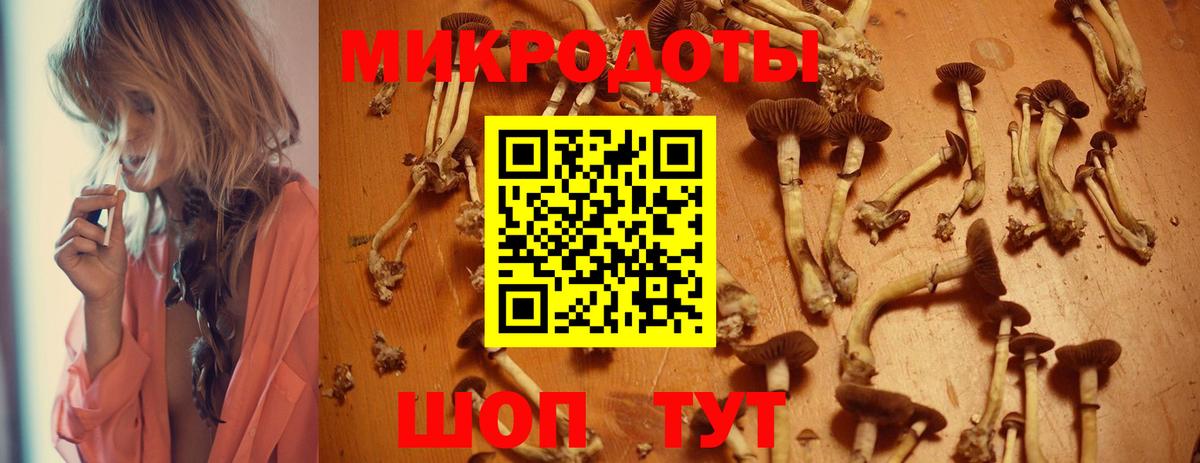 Галлюциногенные грибы MAGIC MUSHROOMS Новокузнецк