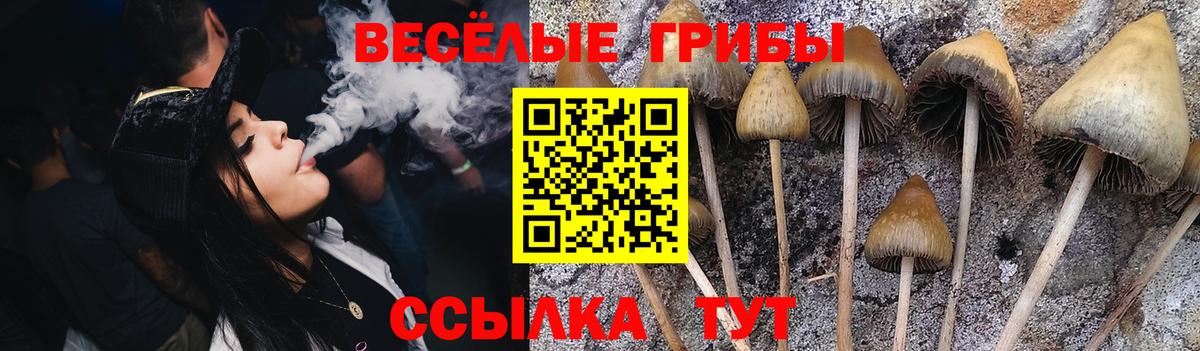 Новокузнецк  Галлюциногенные грибы ЛСД  Вход с VPN 