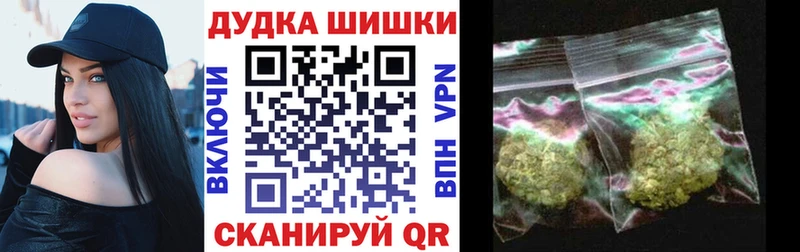 наркота  Новокузнецк  Каннабис сатива 