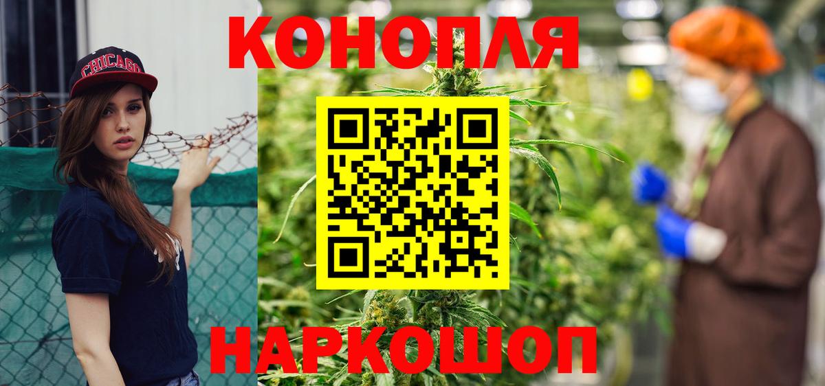 Канабис семена  Бошки Шишки SATIVA & INDICA  Марихуана план  Новокузнецк  Канабис OG Kush  Вход с VPN 