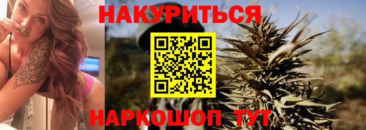 Конопля гибрид Новокузнецк